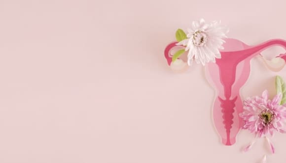 menopause support hampshire